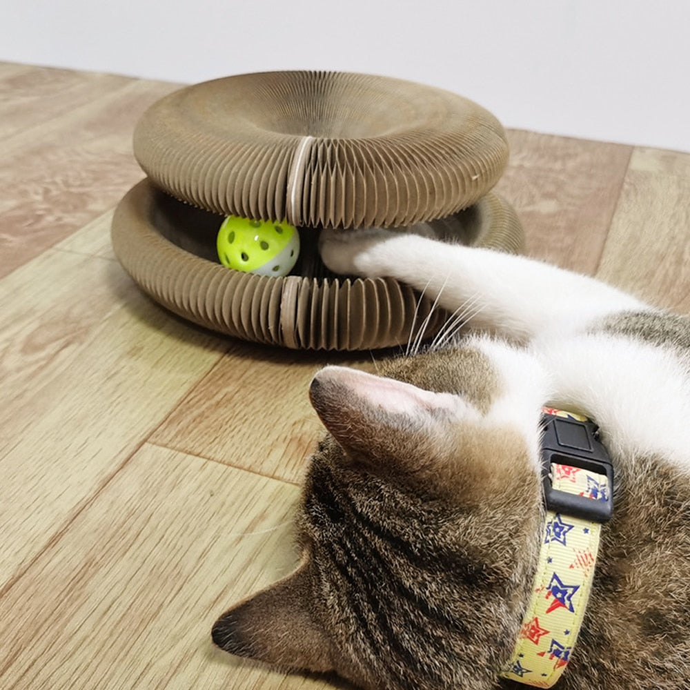 FunCat™ – Ein interaktives Spielzeug für Katzen